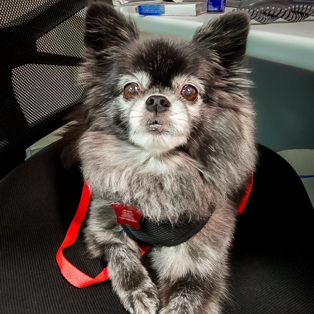 May is Melanoma Awareness Month May is Melanoma Awareness Month